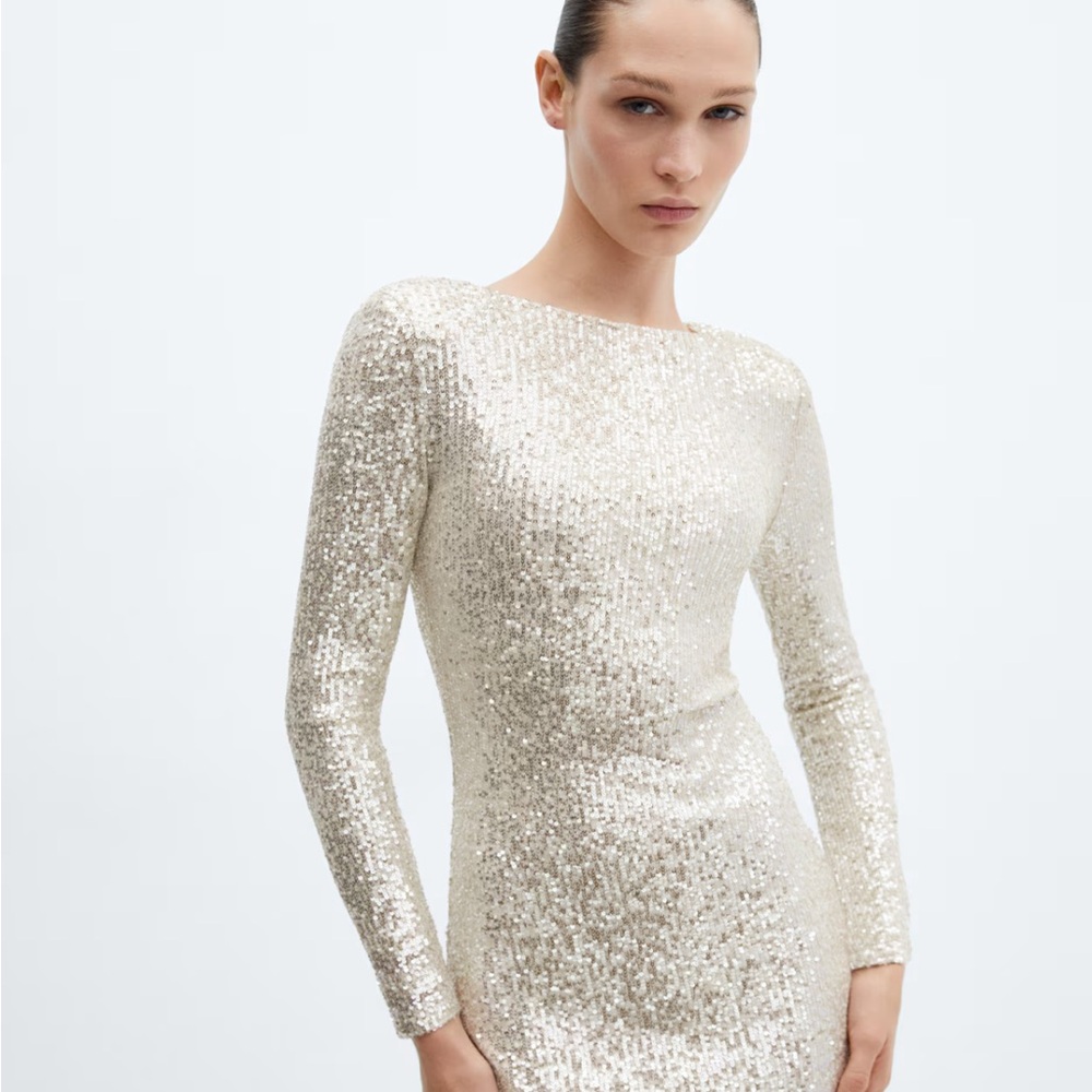 Mango Sequin Dress